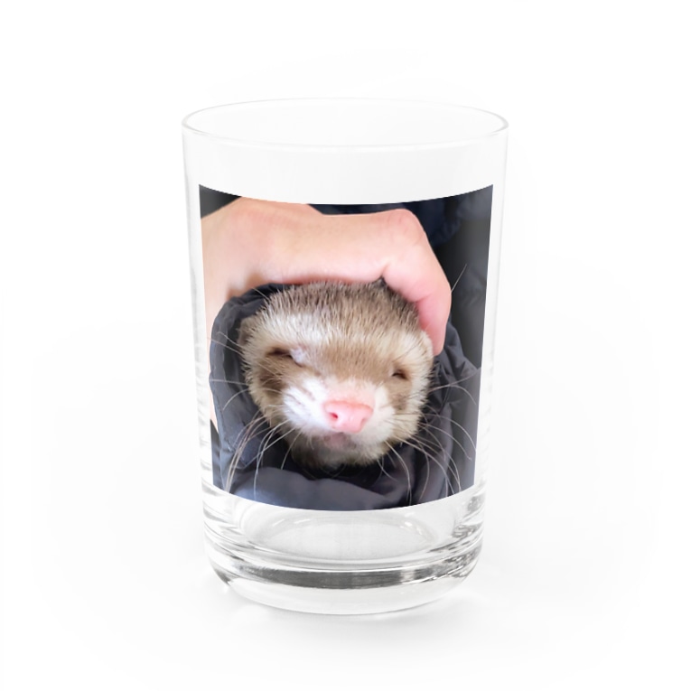 ぶさかわビッケ君 Water Glass By ビッケの部屋 Ferretvicke Suzuri ぶさかわビッケ君 Water Glass By ビッケの部屋 Ferretvicke Suzuri